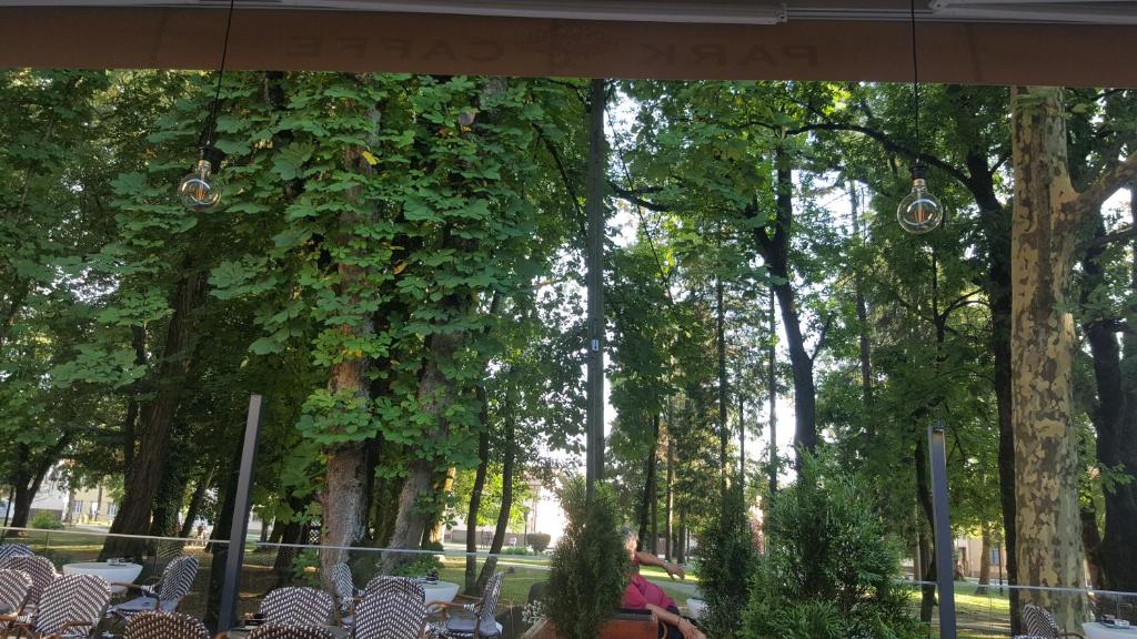 a group of tables and chairs under trees at Park Rooms in Dugo Selo