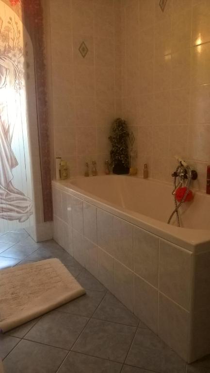 Zdjęcie z galerii obiektu Bublava 394 w mieście Bublava