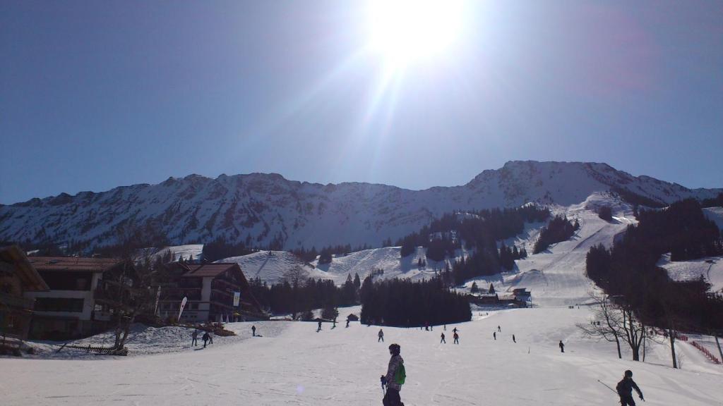 Hotel Alpengasthof Löwen v zimě