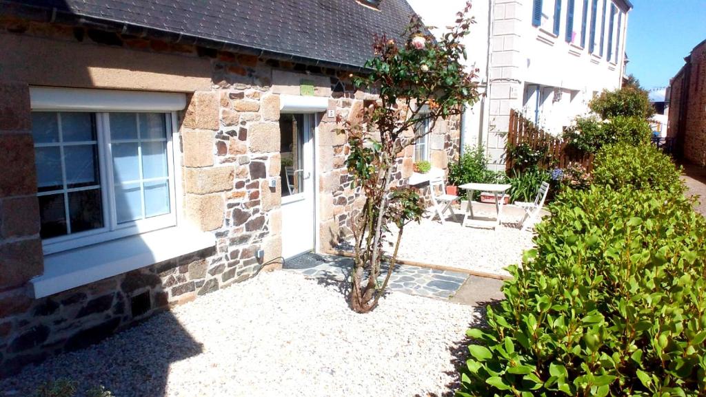 un petit arbre dans la cour d'un bâtiment dans l'établissement Ty Jeanne, le charme de la pierre au coeur du village, à Plougasnou