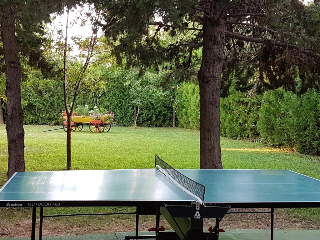 Stolní tenis v ubytování Hotel Liani - All Inclusive nebo okolí