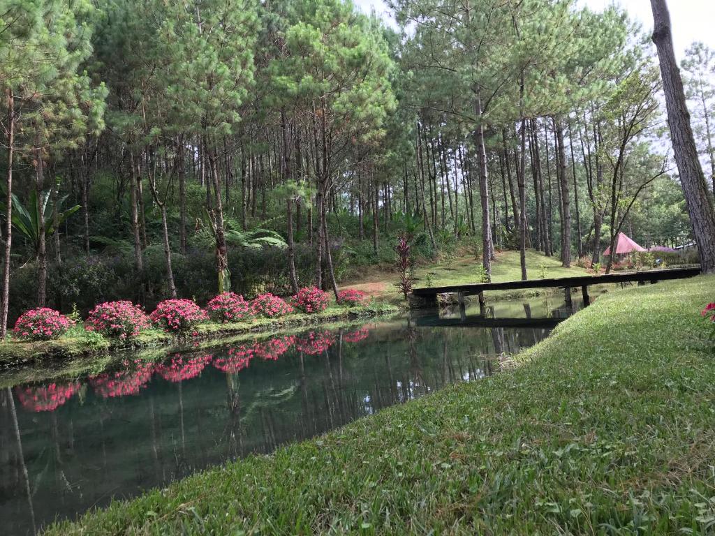 Foto dalla galleria di Hotel en Finca Chijul, reserva natural privada a San Juan Chamelco