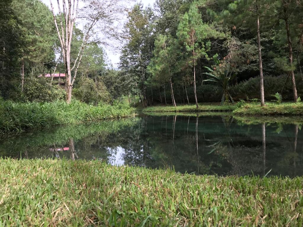 Foto dalla galleria di Hotel en Finca Chijul, reserva natural privada a San Juan Chamelco