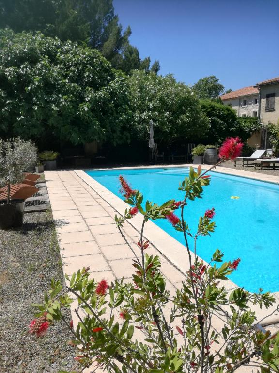 une piscine dans un jardin avec une plante dans l'établissement Mon Petit Soulié, à Loupia