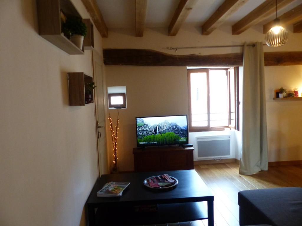 a living room with a television and a coffee table at La chambre d&#39;Eloi, appart à 5mndu zoo de Beauval- 2e étage in Saint-Aignan
