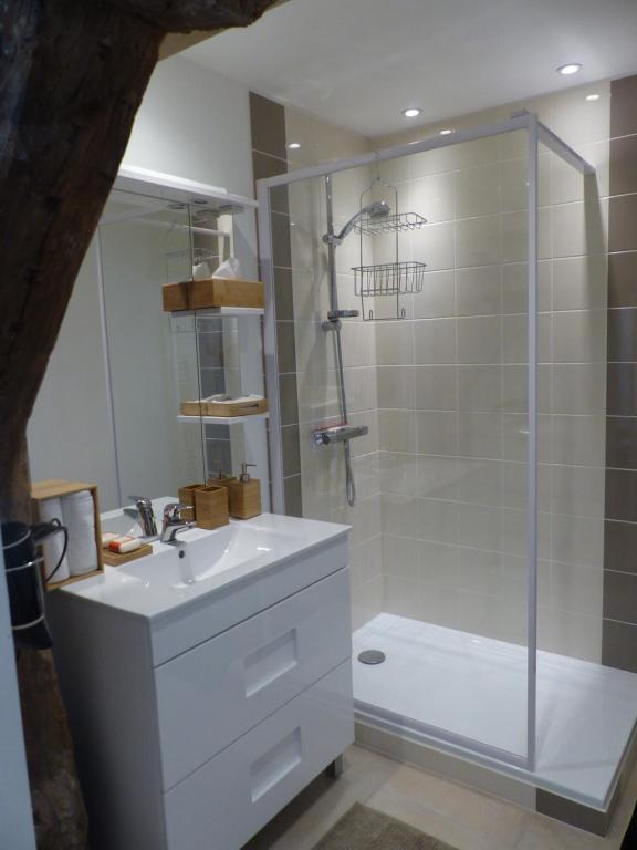 a bathroom with a shower and a white sink at La chambre d&#39;Eloi, appart à 5mndu zoo de Beauval- 2e étage in Saint-Aignan