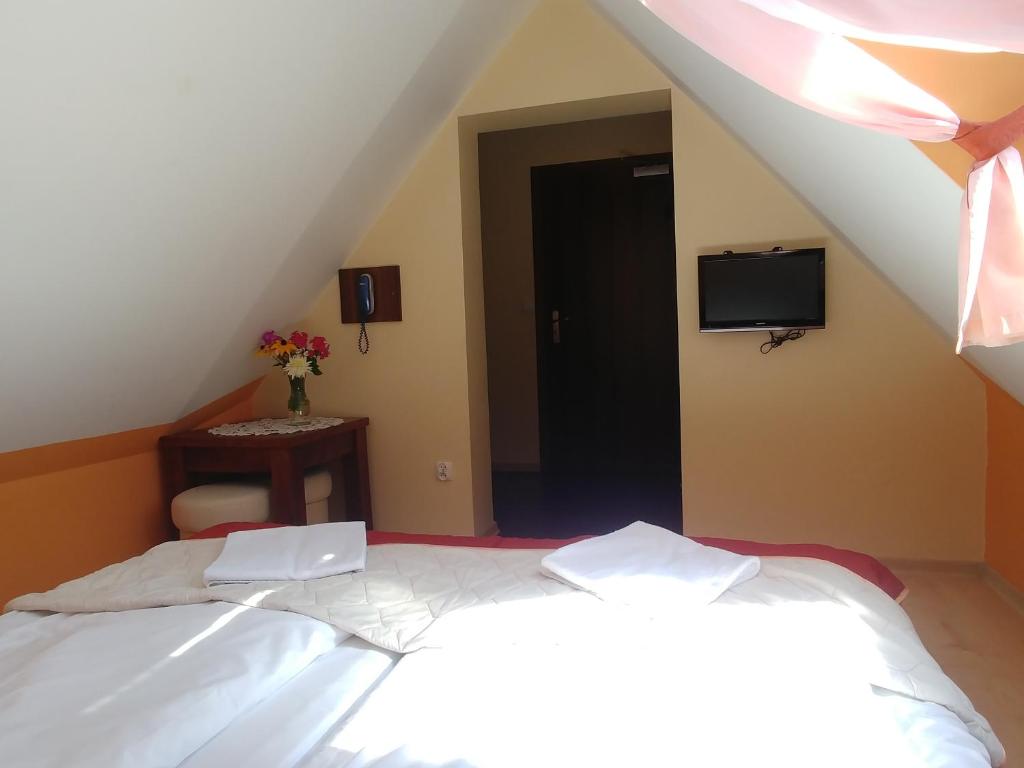 Pensjonat Willa Szarotka - Budget Double Room