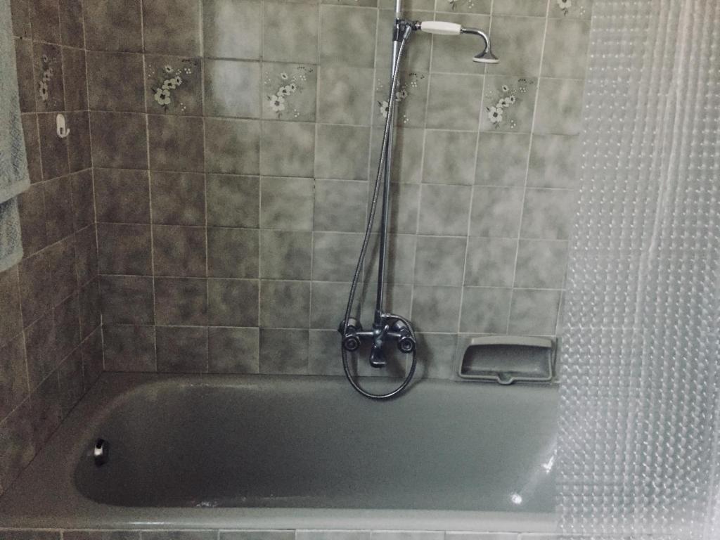 a shower in a bathroom with a bath tub at Apartment with stunning sea view in Pachyammos