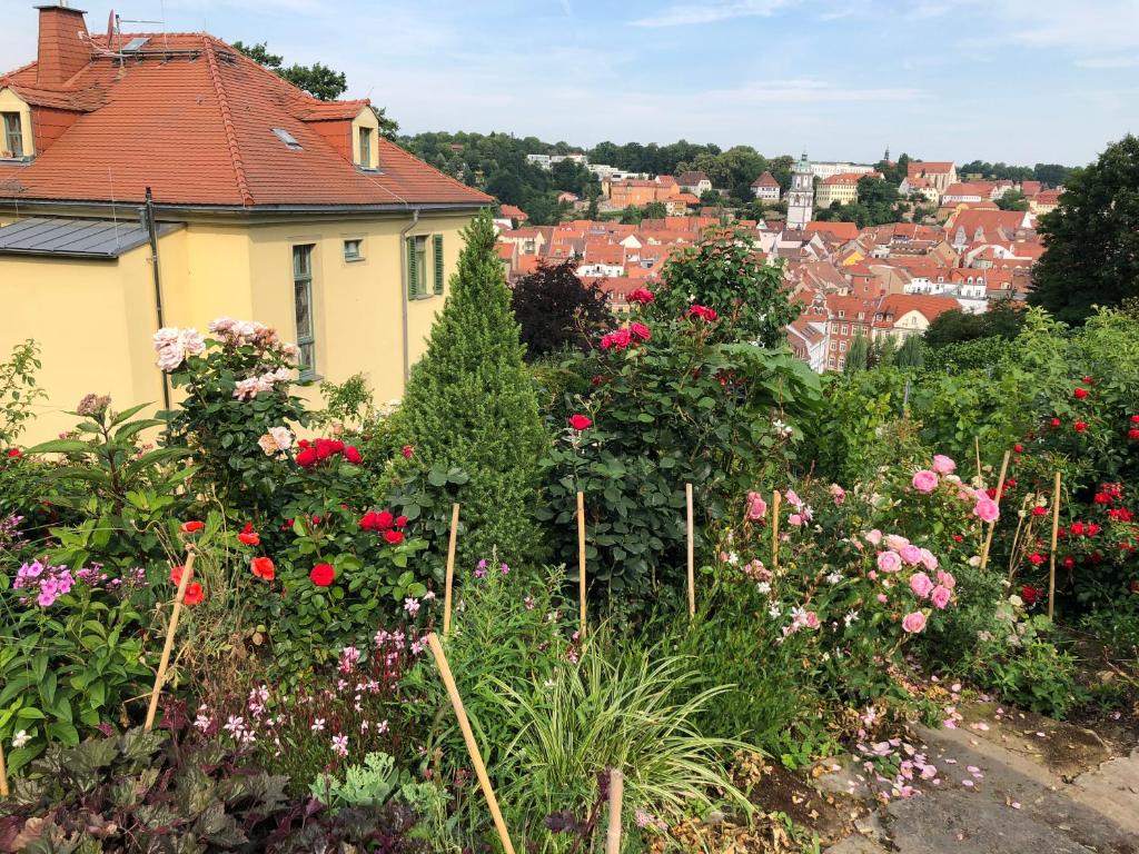 Zahrada ubytování Rebenhaus Meißen