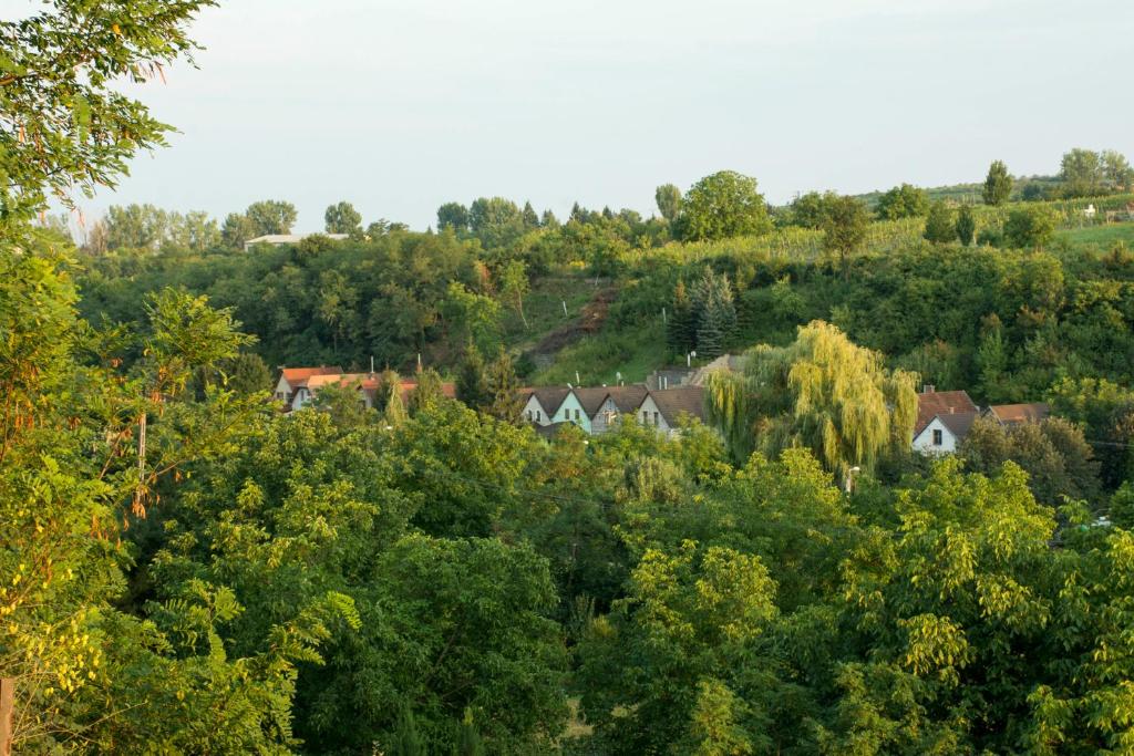 Táj az apartman közelében