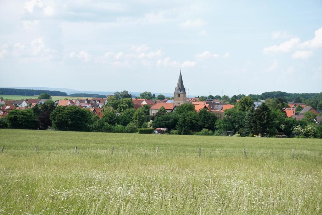Příroda nedaleko hotelu
