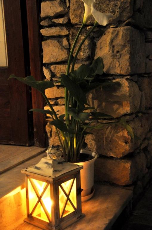 Fotografie z fotogalerie ubytování Hotel Sofia v destinaci Matala