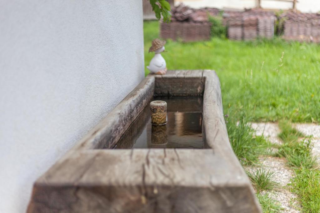 Zdjęcie z galerii obiektu Tschafingerhof w mieście Vipiteno