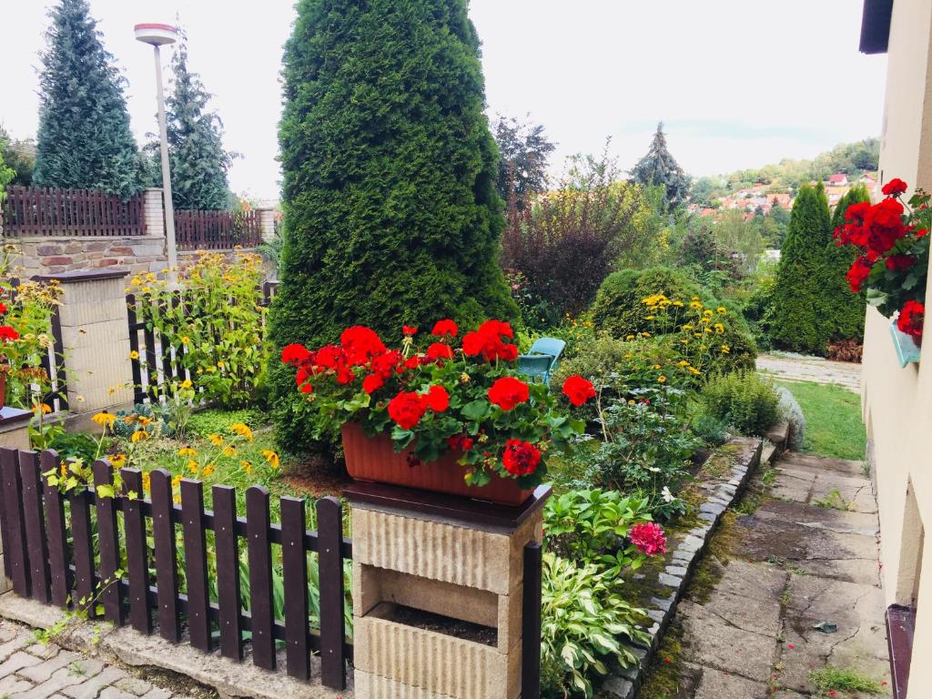 Ogród w obiekcie Villa Cihelna apartments