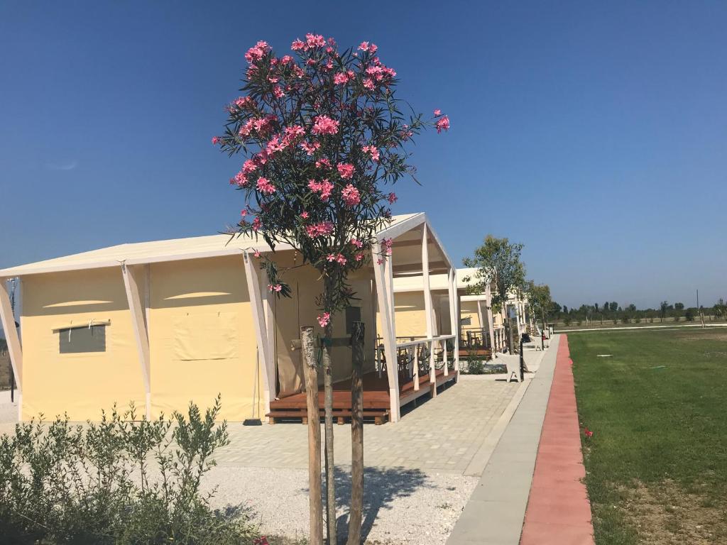 a tree with pink flowers in front of a building at Vento etrusco in Riotorto