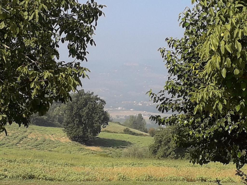 Príroda v okolí farmy