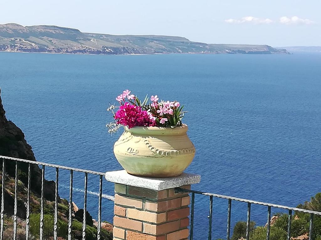 a large vase filled with flowers on top of a wall at Aligia Chalet in Nebida