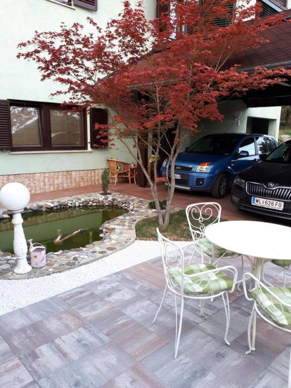 Apartment Comeback - 14