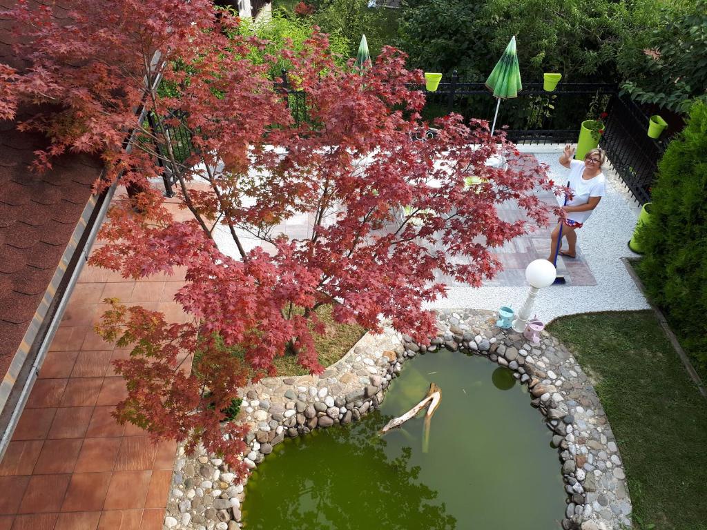 Apartment Comeback - 16