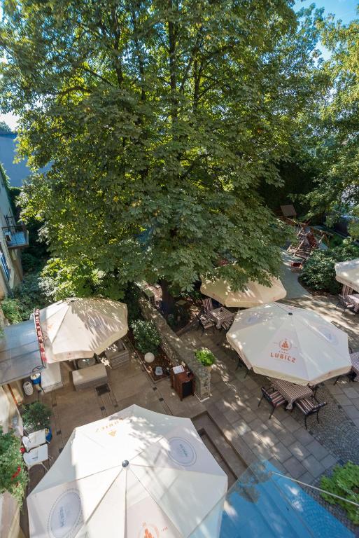 Blue Swan - Resim 20