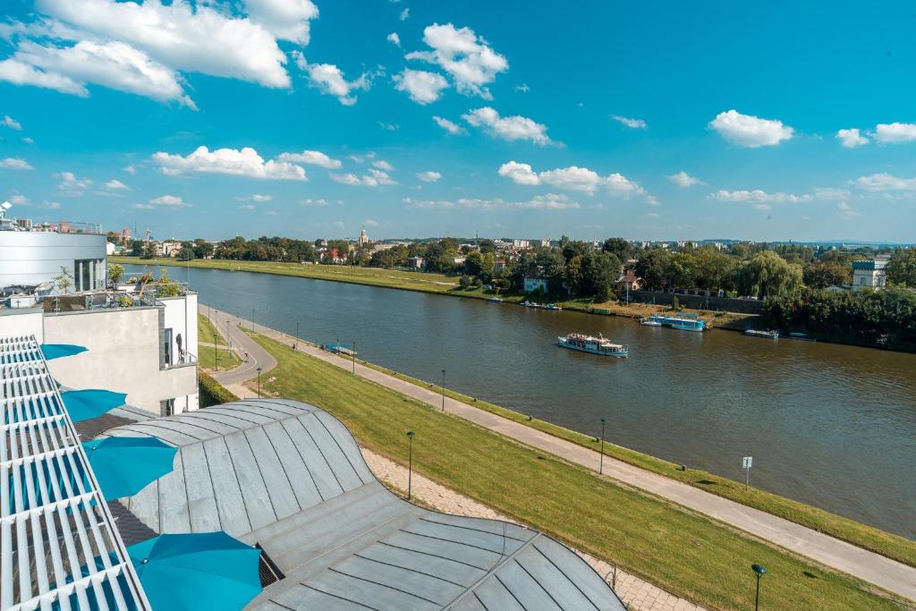 Blue Swan - Resim 19