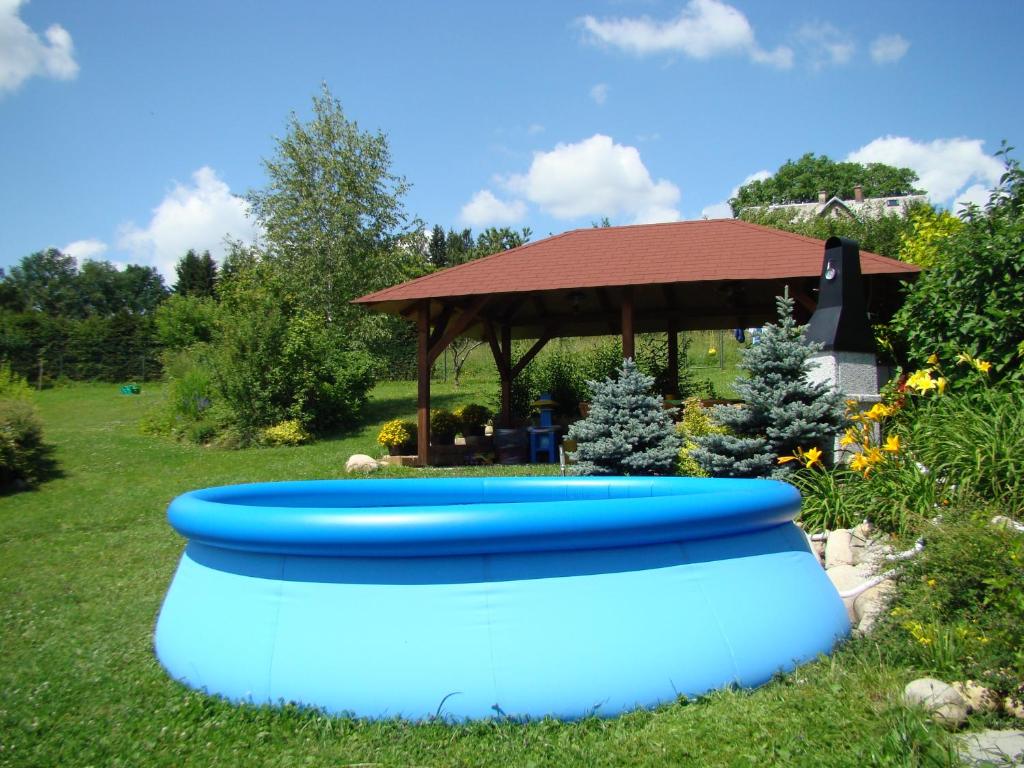 Bazén v ubytování Penzion Cabák nebo v jeho okolí