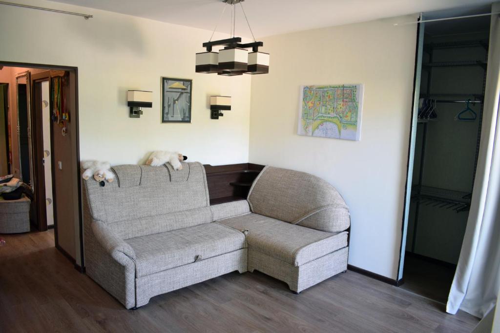 un sofá con dos perros tirados encima en Butterfly Apartment, en Visaginas