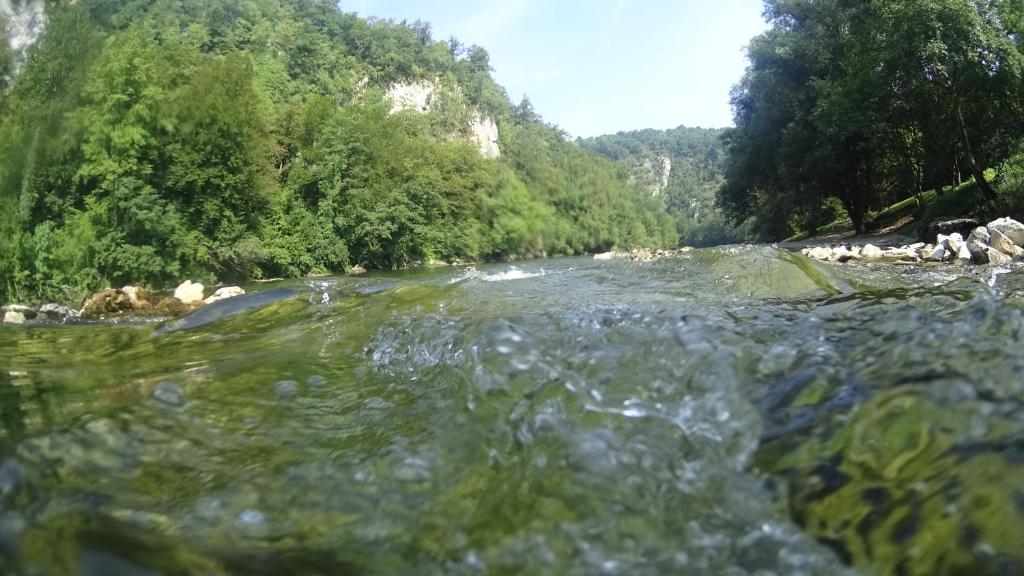 Příroda nedaleko apartmánu