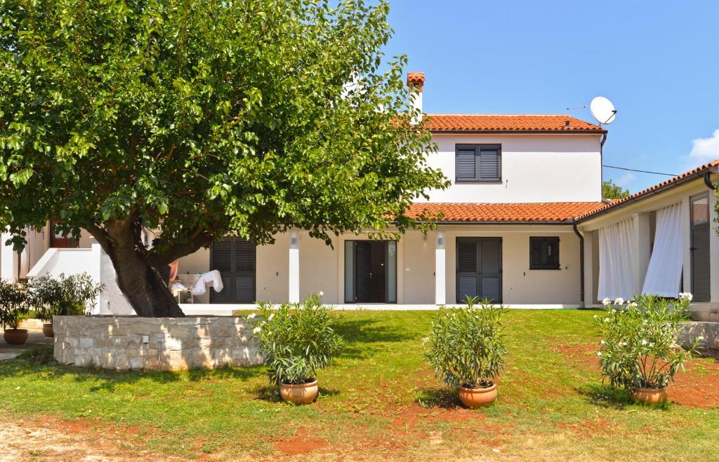 Zahrada ubytování House Kazali 1749