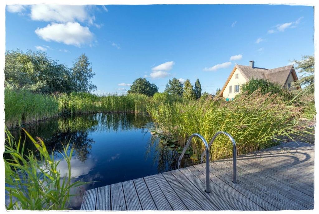 Krienke的住宿－Reetdachhaus Kranich mit Schwimmteich in Krienke，享有池塘和木板路的景色