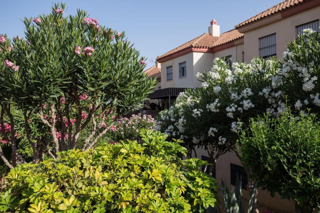 Fotografia z galérie ubytovania Casa Maurice v destinácii Sanlúcar de Barrameda