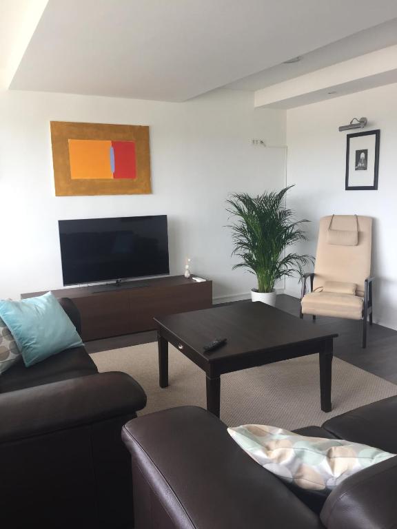TV a/nebo společenská místnost v ubytování Villa Ulivo Apartments