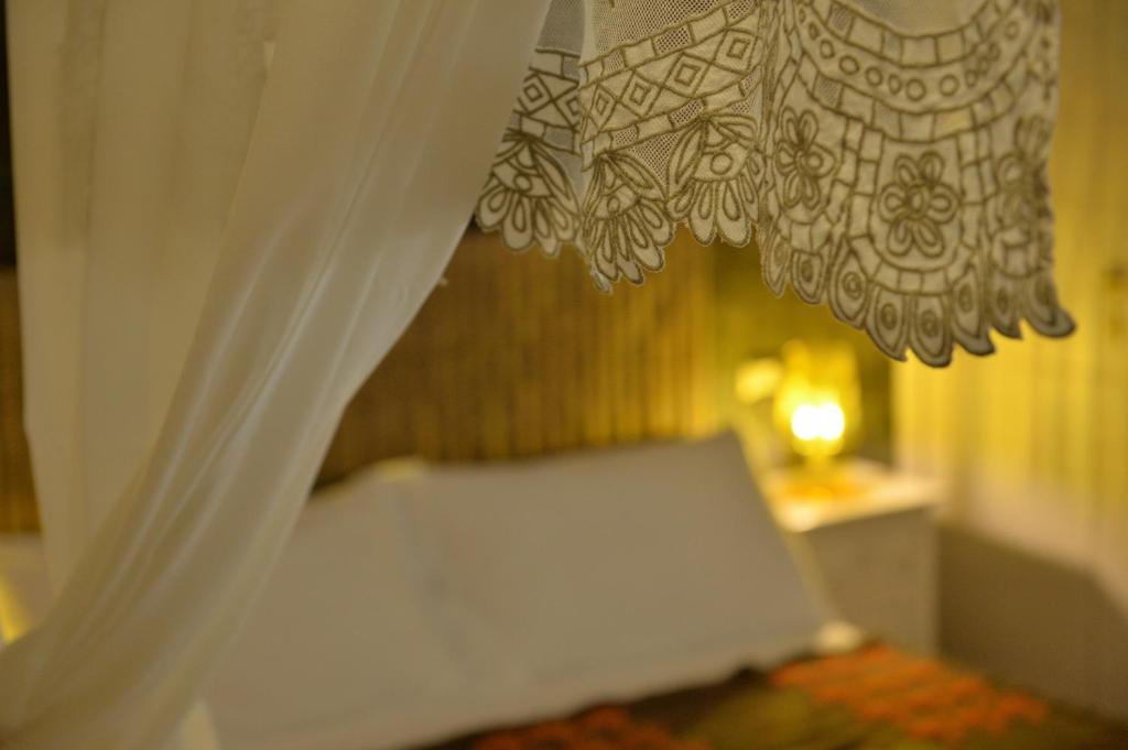 Gatto Bianco Case d'Allora - 14