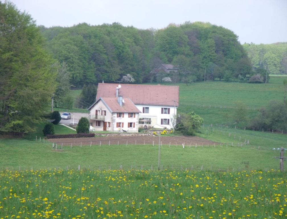 a house in the middle of a field of flowers at Gîte Les Hirondelles in Plombières-les-Bains