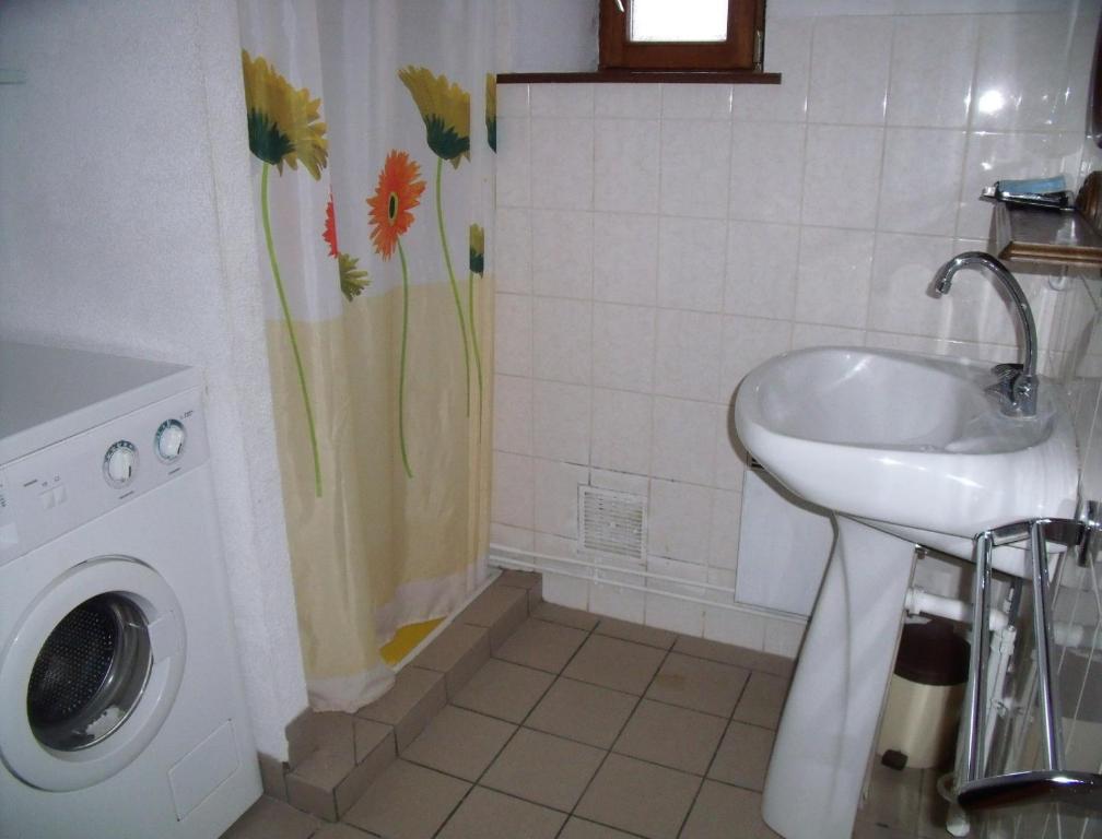 a bathroom with a sink and a washing machine at Gîte Les Hirondelles in Plombières-les-Bains