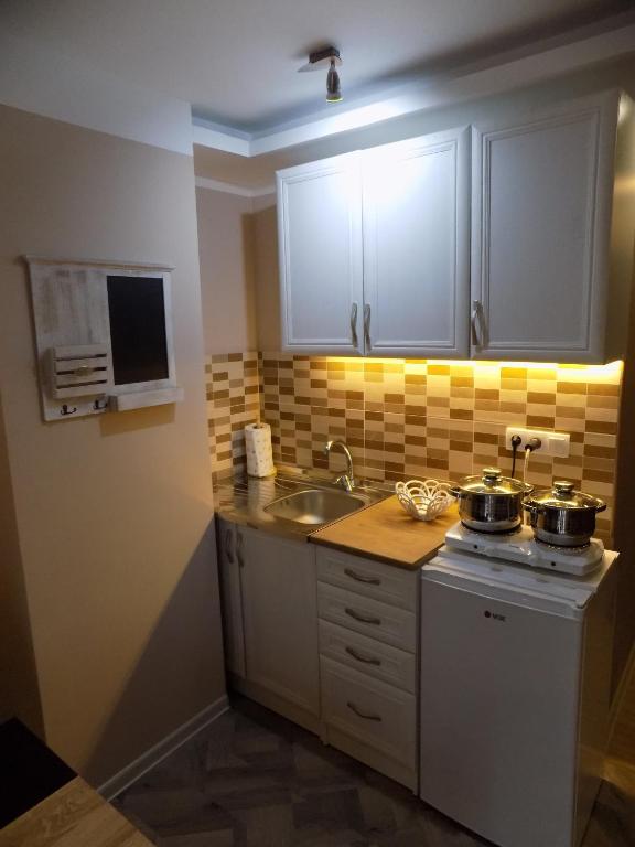 Kuchyň nebo kuchyňský kout v ubytování Apartman Bogić