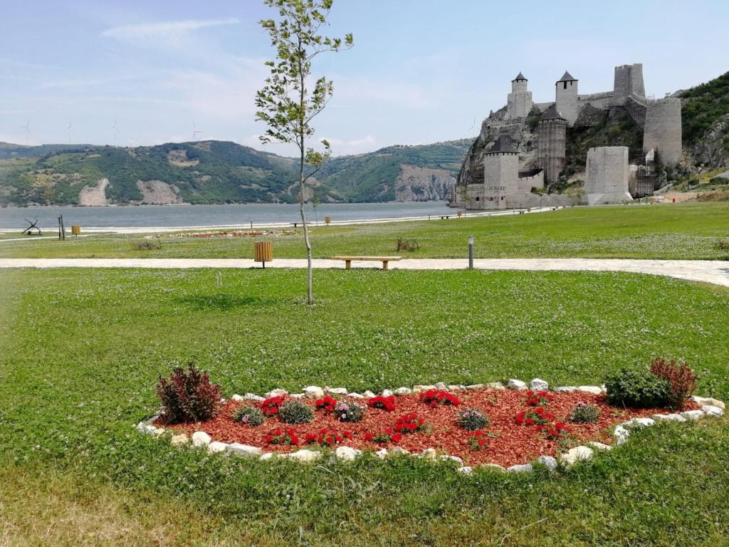 Příroda nedaleko apartmánu