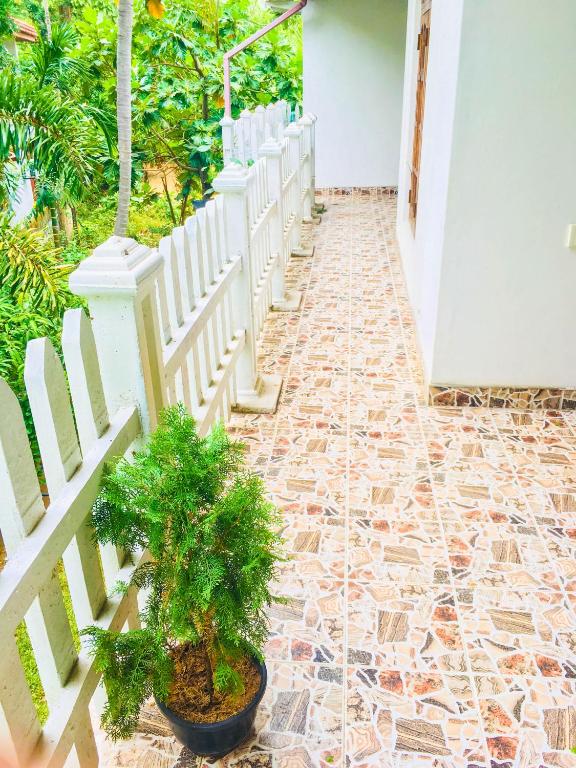 Zahrada ubytování Sudu Neluma Home Stay