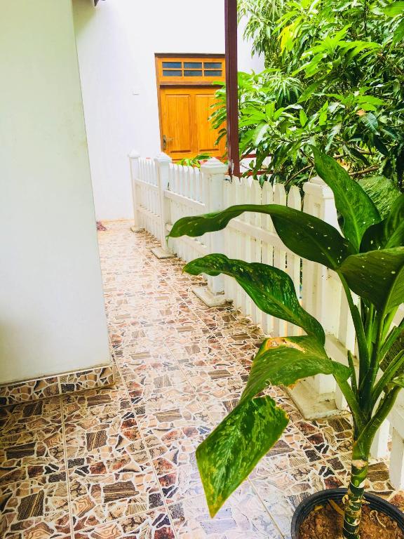 Zahrada ubytování Sudu Neluma Home Stay