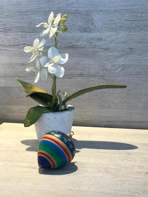 Lion Apartment Port - 7