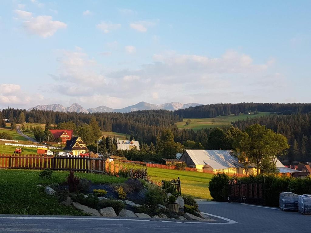 DzianiszにあるApartamenty góralskie MICHNIAKの山を背景にした村の風景