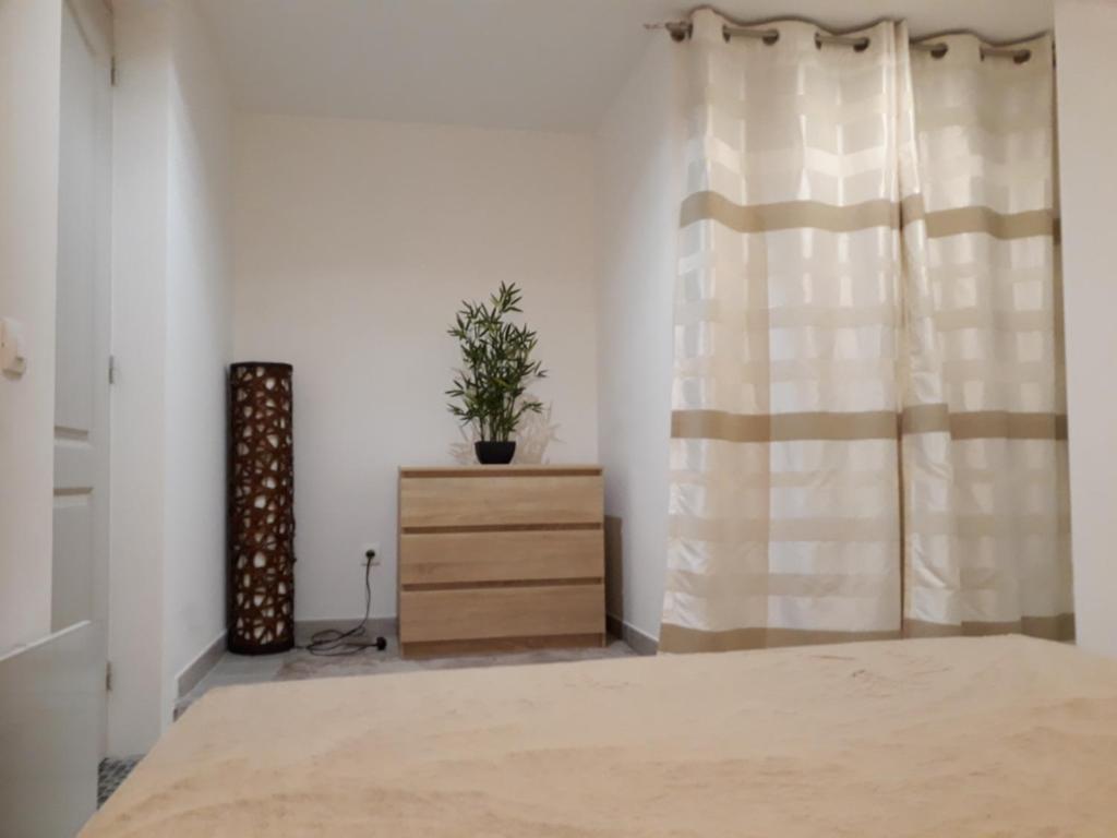 um quarto com uma cama e uma cómoda com uma planta em Appartement À Valence em Valence