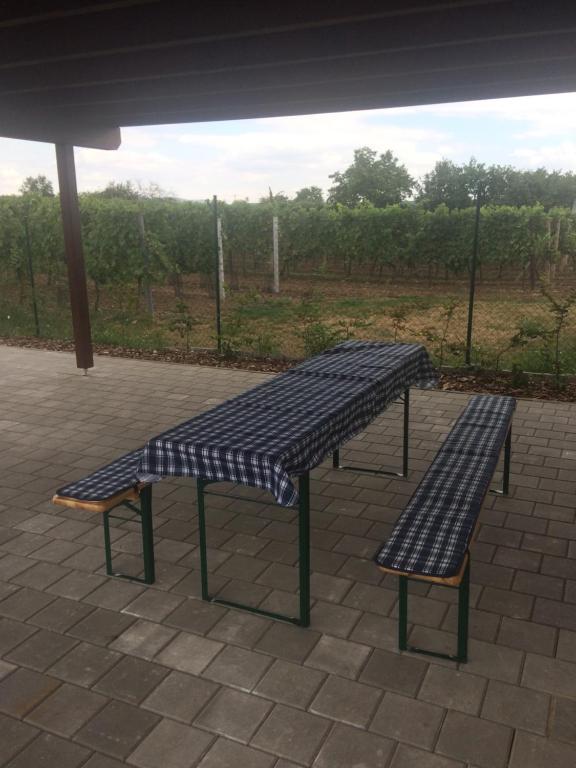 Stolní tenis v ubytování Apartmán Matyáš nebo okolí
