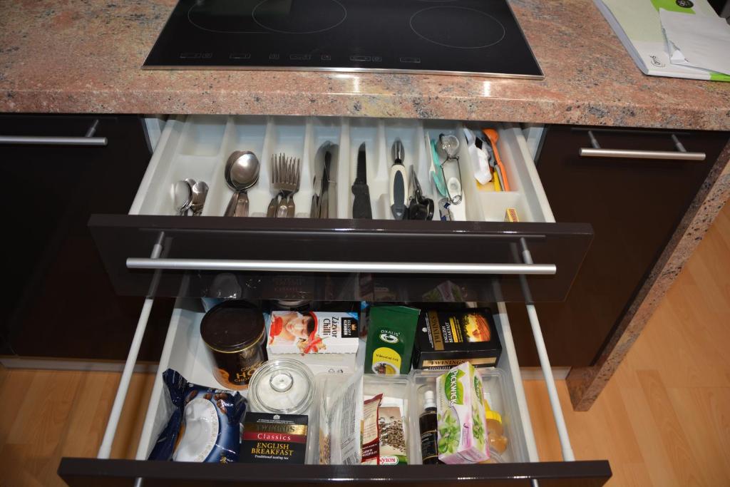 Kuchyň nebo kuchyňský kout v ubytování Apartmán Zderadova