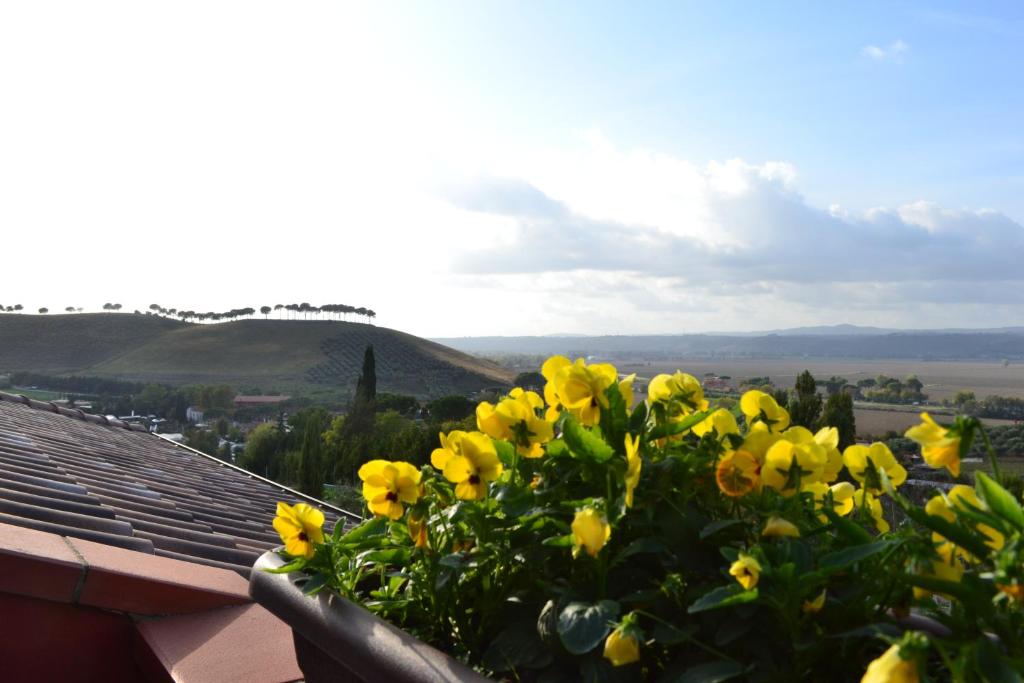 Un mazzo di fiori gialli sul tetto di Sunny Hill's Home a Monterotondo