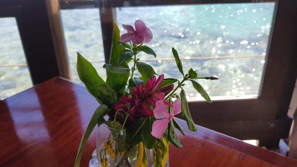 Fotografie z fotogalerie ubytování Hotel Kaveka v destinaci Maharepa