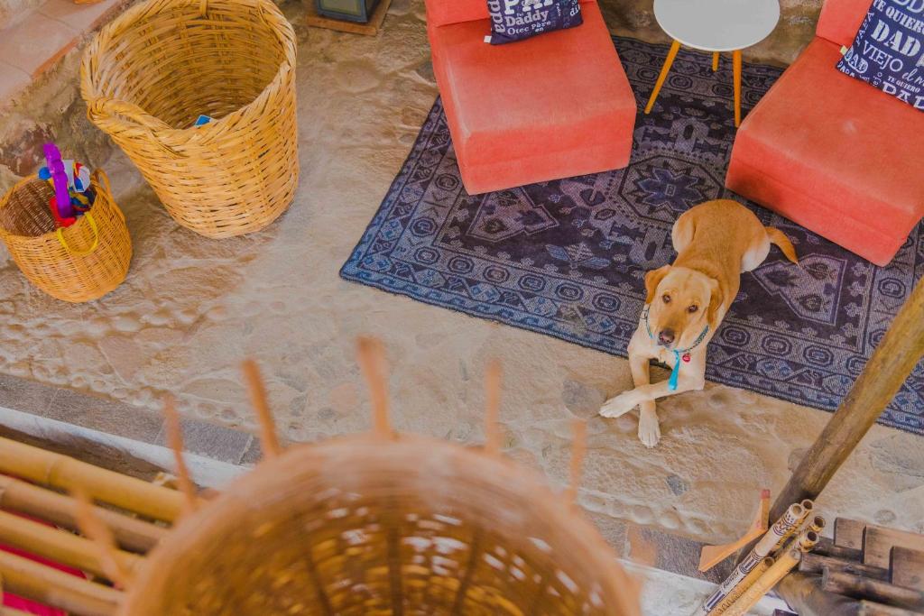 Las Cabañas de Tarii