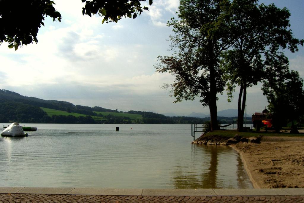 Příroda nedaleko hotelu