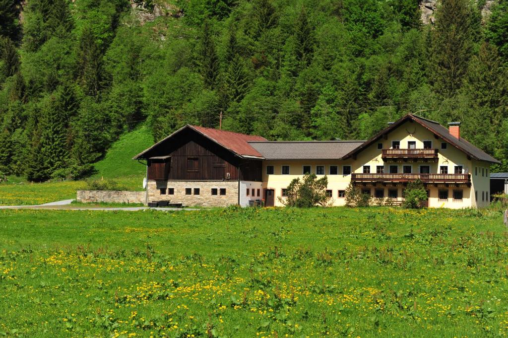 a large house in the middle of a green field at Landgut Gamsleiten in Bad Gastein