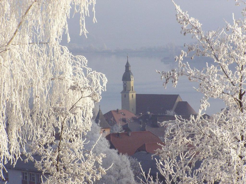 Hotel Landgasthof Altwirt v zimě